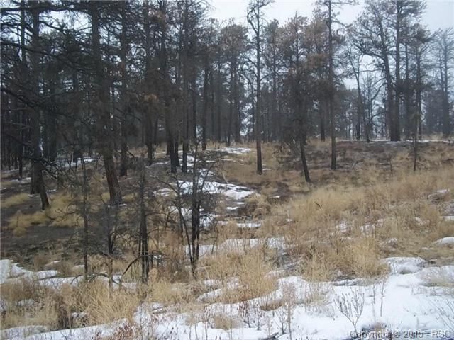 13345 Frank Rd, Colorado Springs, CO 80908