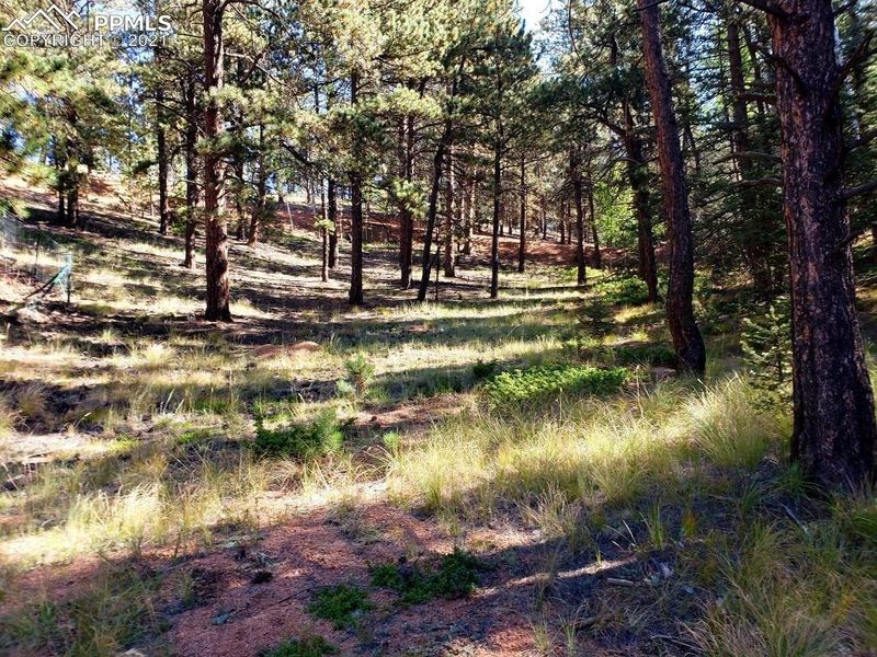 134 Spring Valley Cir, Divide, CO 80814