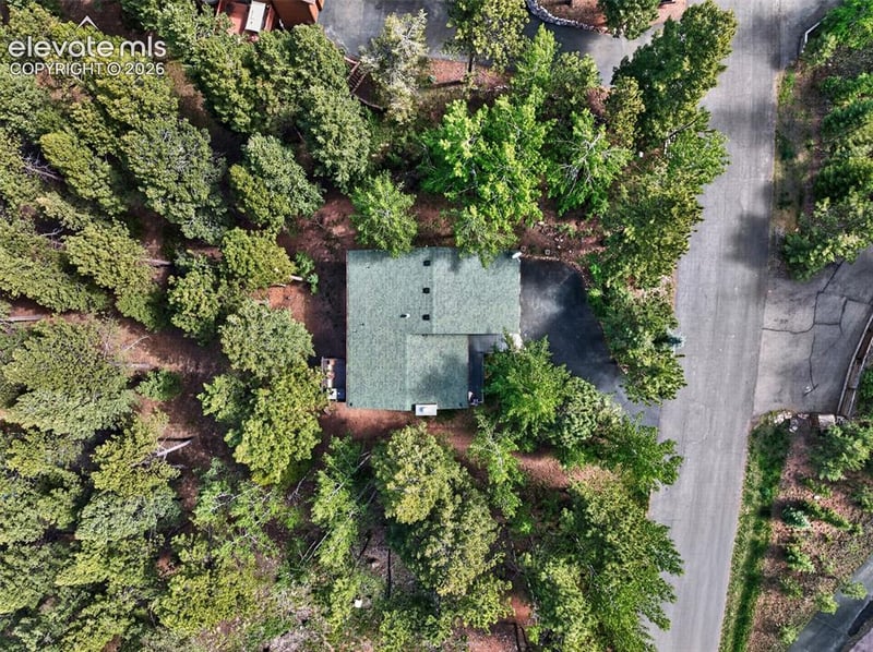 1340 Forest Edge Rd, Woodland Park, CO 80863
