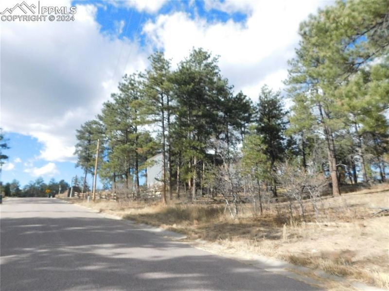 1345 Fremont Dr, Larkspur, CO 80118