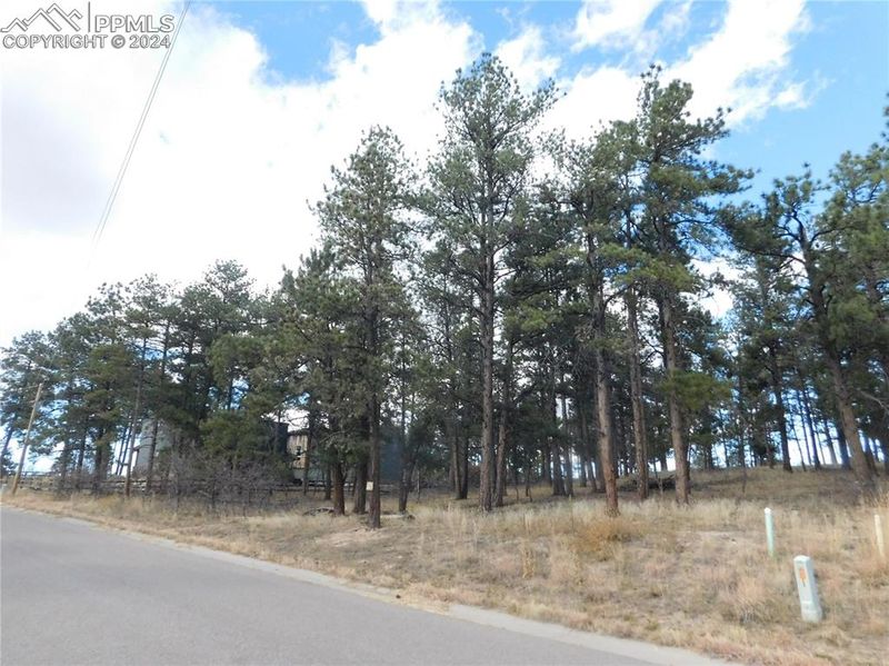 1345 Fremont Dr, Larkspur, CO 80118