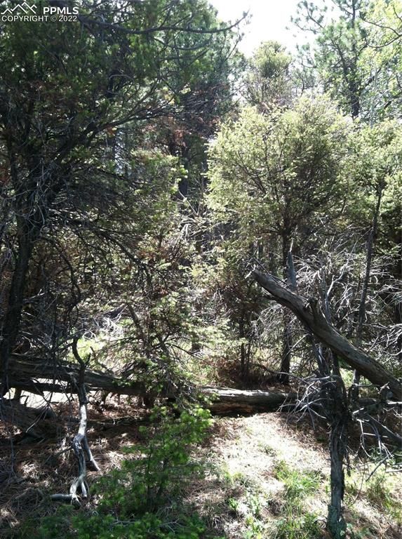 13499 S Firedog Way, Larkspur, CO 80118
