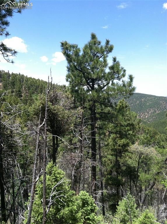 13499 S Firedog Way, Larkspur, CO 80118