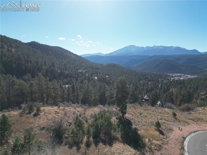 1350 Blue Haven Pl, Woodland Park, CO 80863