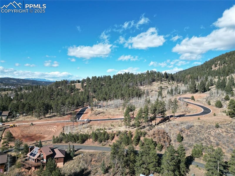 1350 Blue Haven Pl, Woodland Park, CO 80863