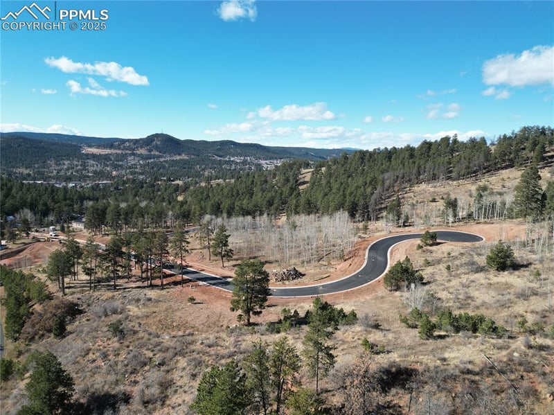 1350 Blue Haven Pl, Woodland Park, CO 80863