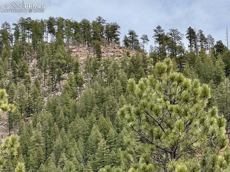 13526 Highway 67 , Woodland Park, CO 80863