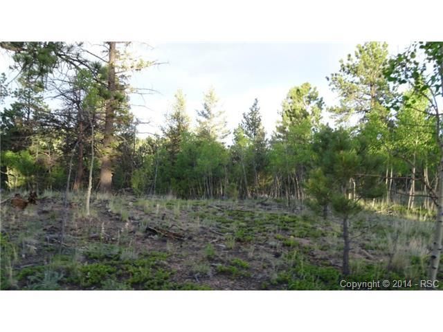 1353 Rangeview Rd, Divide, CO 80814