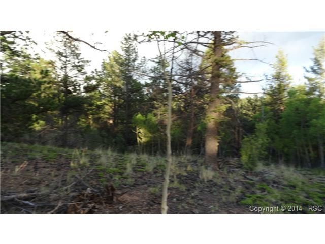 1353 Rangeview Rd, Divide, CO 80814