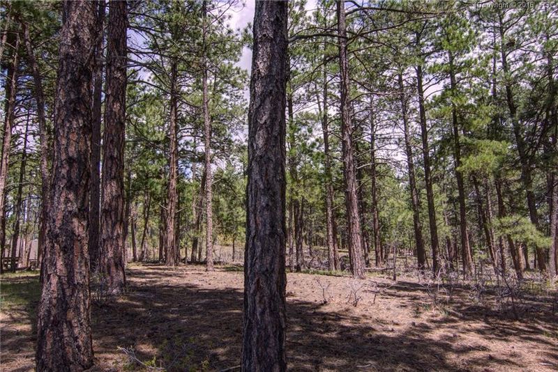 1355 Fremont Dr, Larkspur, CO 80118