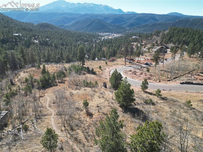 1365 Blue Haven Pl, Woodland Park, CO 80863