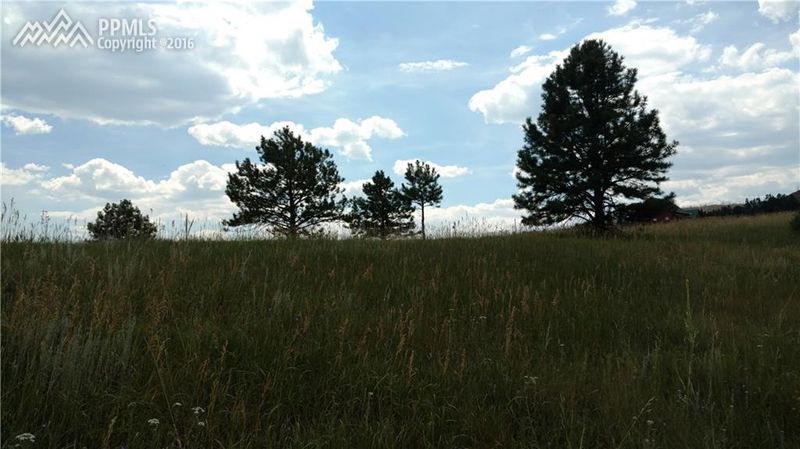 13659 Lisa Ln, Sedalia, CO 80135