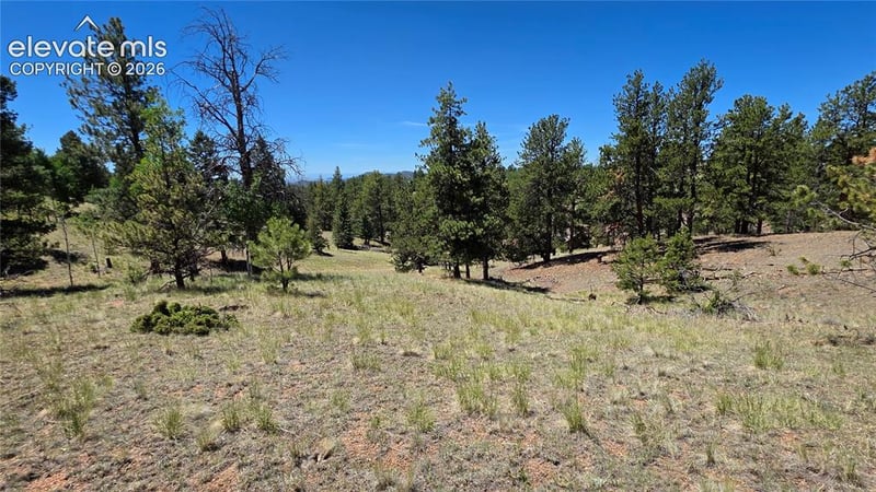 1366 Mountain Estates Rd, Florissant, CO 80816