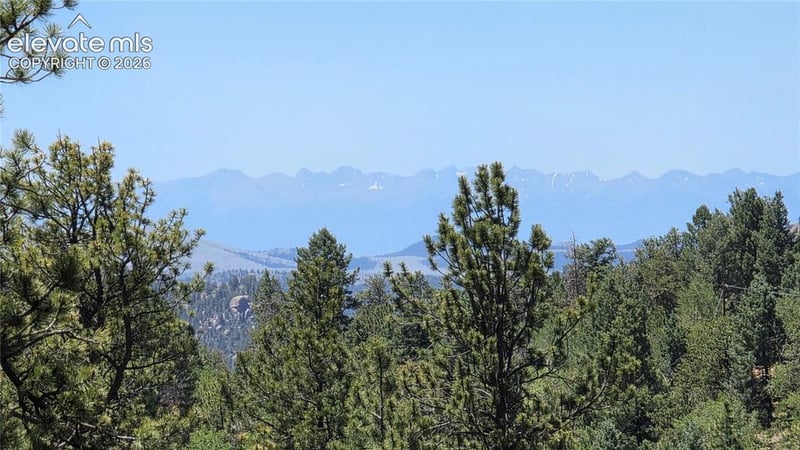 1366 Mountain Estates Rd, Florissant, CO 80816
