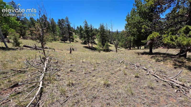 1366 Mountain Estates Rd, Florissant, CO 80816