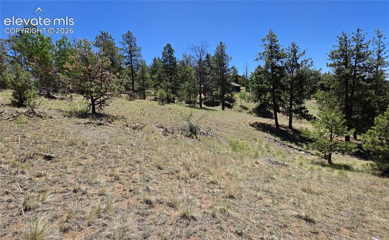 1366 Mountain Estates Rd, Florissant, CO 80816