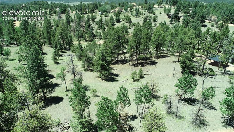 1366 Mountain Estates Rd, Florissant, CO 80816