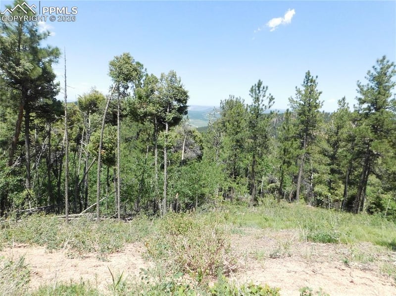 13670 Spruce Creek Cir, Larkspur, CO 80118