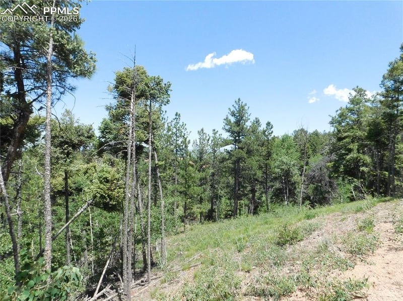 13670 Spruce Creek Cir, Larkspur, CO 80118