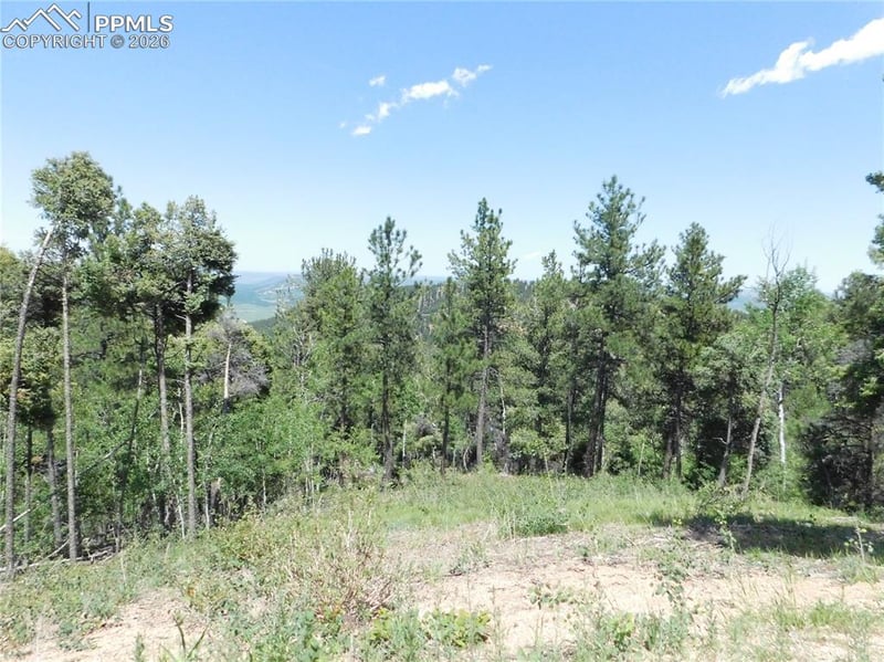 13670 Spruce Creek Cir, Larkspur, CO 80118