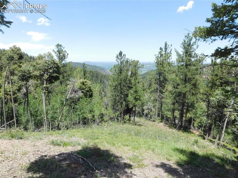 13670 Spruce Creek Cir, Larkspur, CO 80118