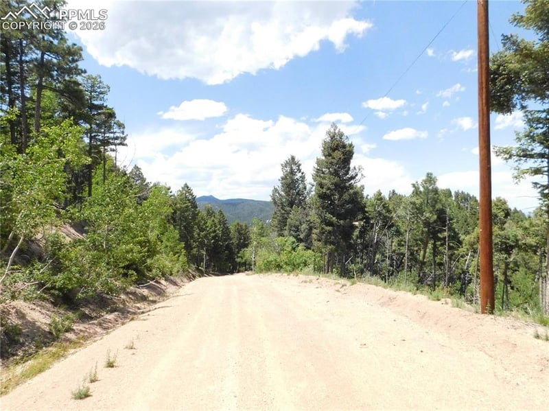 13670 Spruce Creek Cir, Larkspur, CO 80118