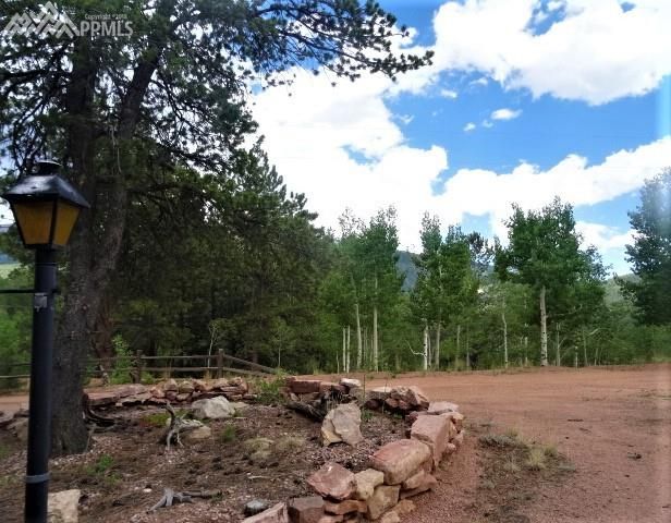 137 Blue Spruce Rd, Divide, CO 80814