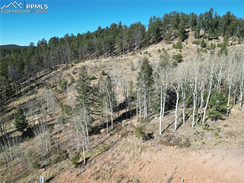 1370 Blue Haven Pl, Woodland Park, CO 80863