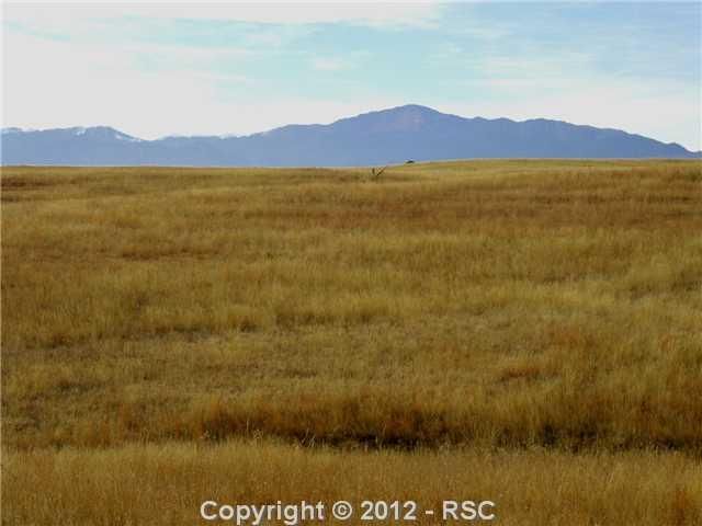 13725 Buffalo River Trl, Elbert, CO 80106