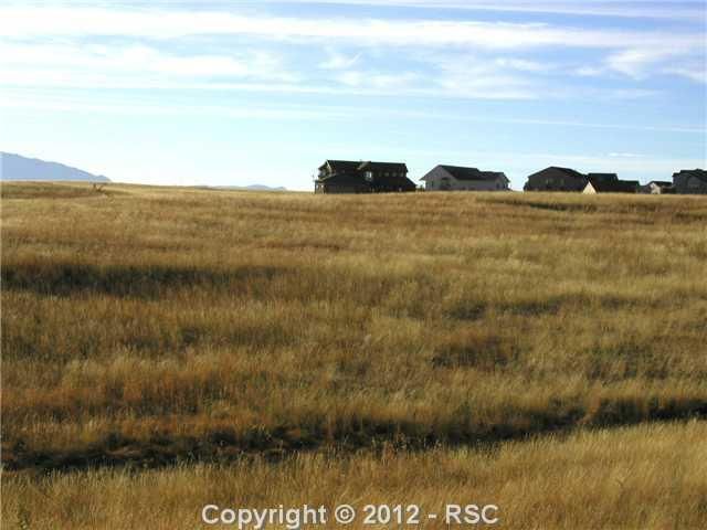 13725 Buffalo River Trl, Elbert, CO 80106