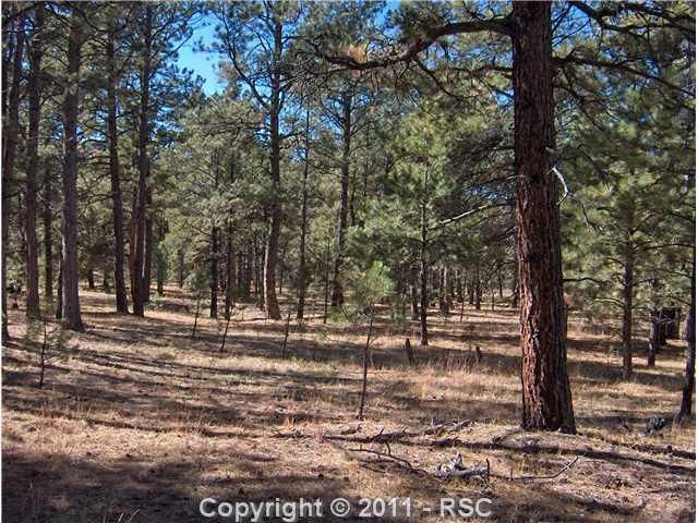 13775 Hildenshire Pl, Colorado Springs, CO 80908