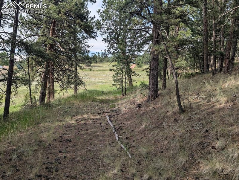 1379 Mountain Estates Rd, Florissant, CO 80816