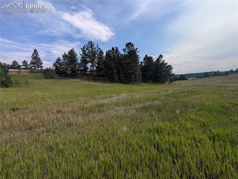 1379 Mountain Estates Rd, Florissant, CO 80816