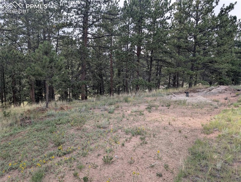 1379 Mountain Estates Rd, Florissant, CO 80816