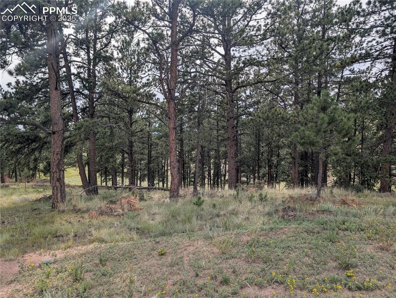 1379 Mountain Estates Rd, Florissant, CO 80816