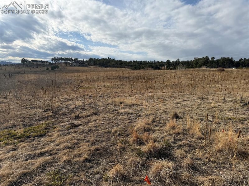 13810 Wildoak Dr, Black Forest, CO 80908