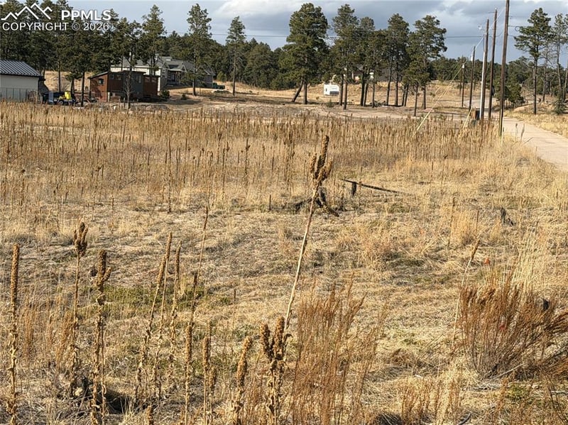 13810 Wildoak Dr, Black Forest, CO 80908