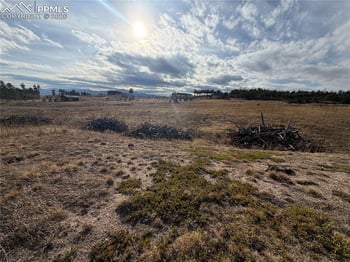 13810 Wildoak Dr, Black Forest, CO 80908