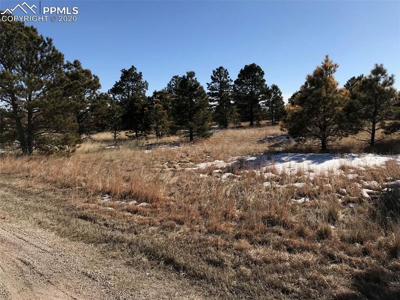 13815 Sweet Rd, Peyton, CO 80831
