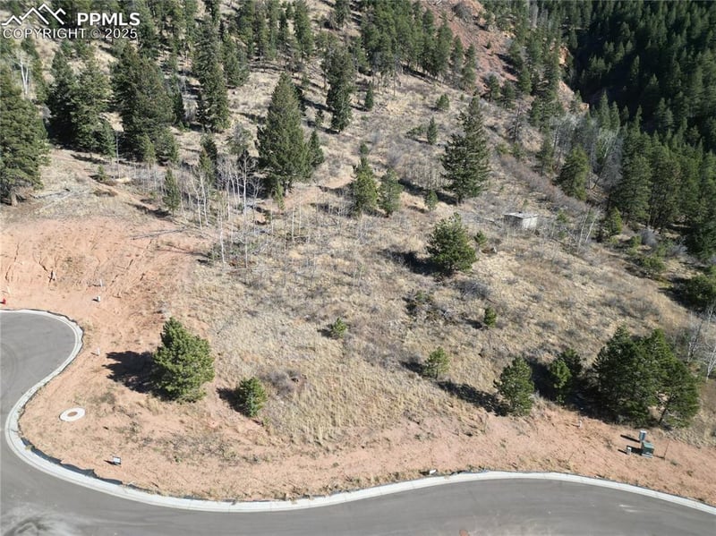 1385 Blue Haven Pl, Woodland Park, CO 80863
