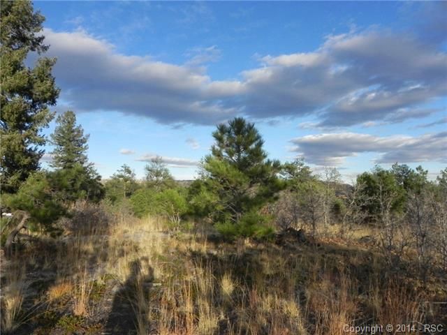 1385 Cameron Ct, Larkspur, CO 80118