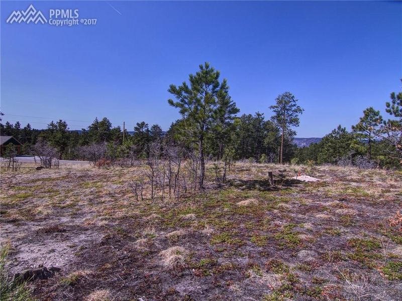 1385 Fremont Dr, Larkspur, CO 80118