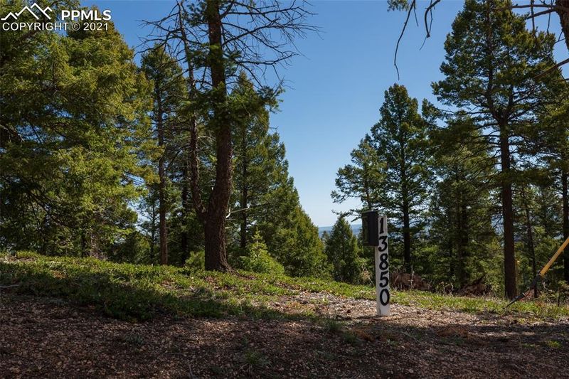 13850 Boulder Ln, Larkspur, CO 80118