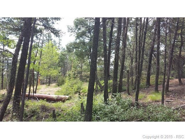13874 Boulder Ln, Larkspur, CO 80118