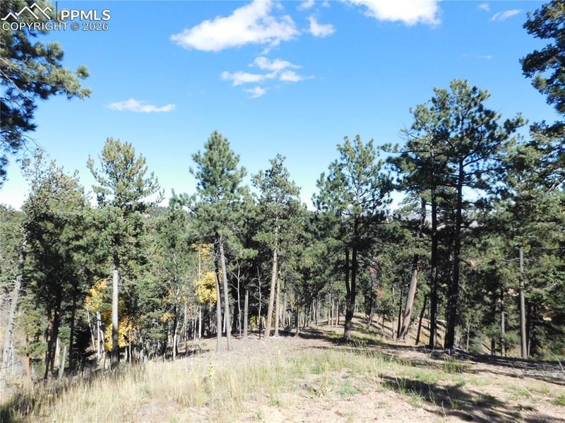 13886 Boulder Ln, Larkspur, CO 80118
