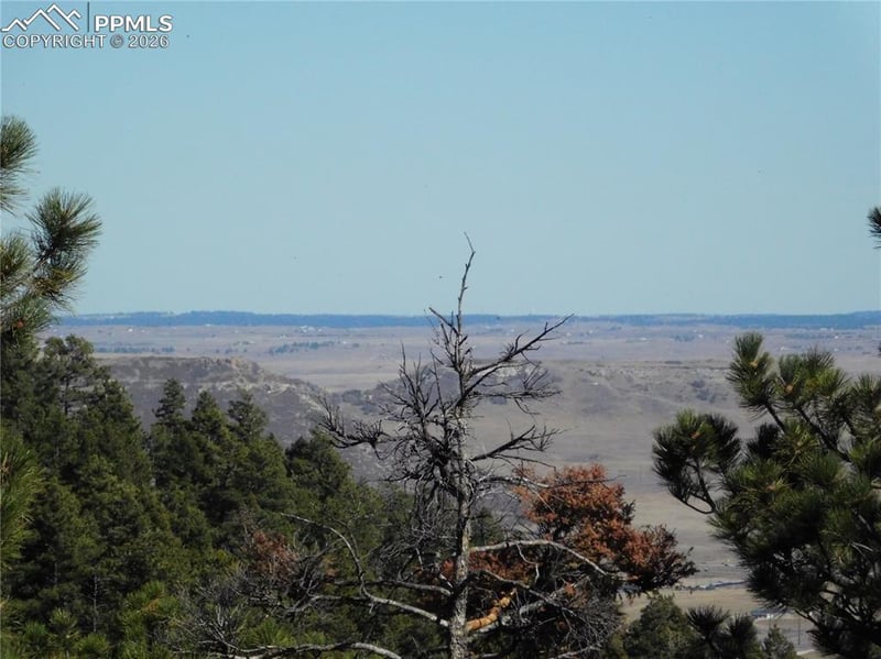 13886 Boulder Ln, Larkspur, CO 80118