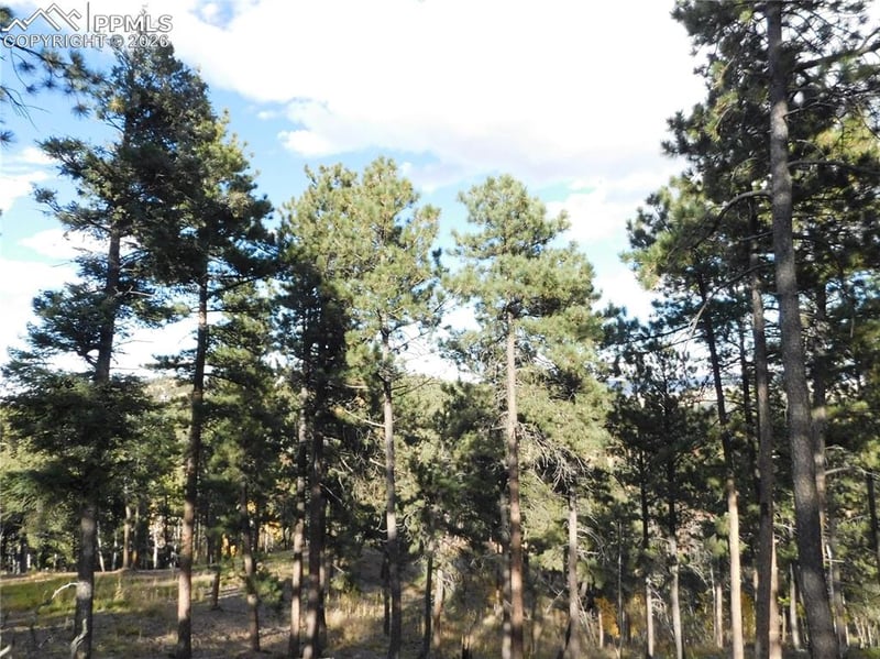 13910 Boulder Ln, Larkspur, CO 80118