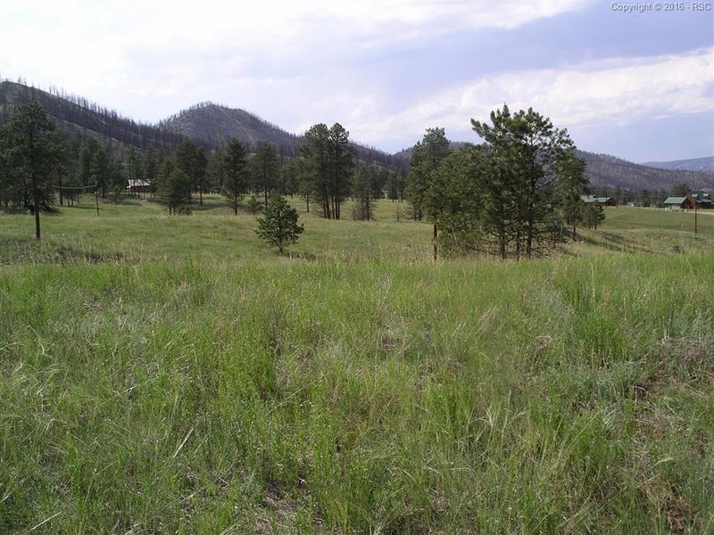 13915 Hedi Rd, Sedalia, CO 80135