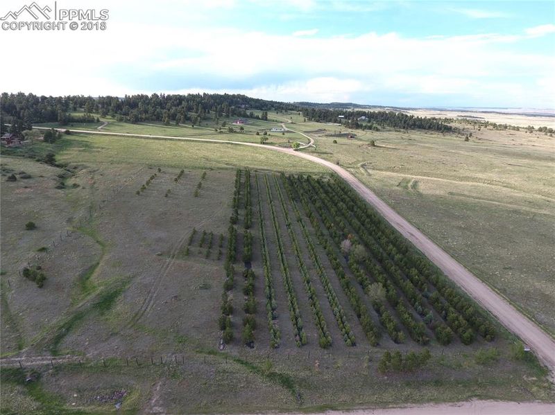 13925 Double Tree Ranch Cir, Elbert, CO 80106