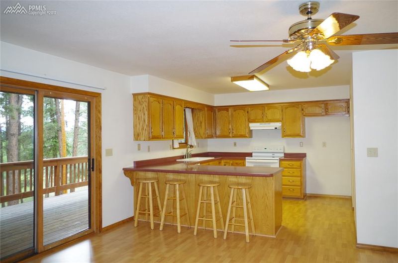 1400 Chippewa Trl, Woodland Park, CO 80863